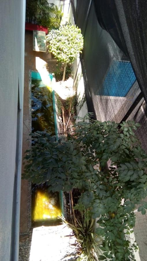 Casa Zen Hotel Pachuca Exterior foto
